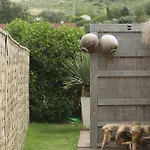 100% Fun